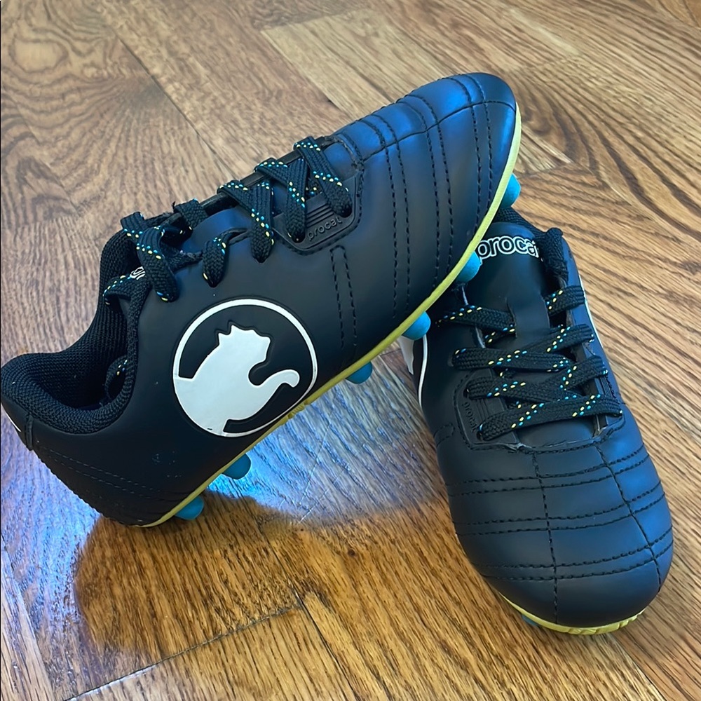 Puma ProCat Speed Force FG Soccer Cleats. Size 11. New W/O Tags.